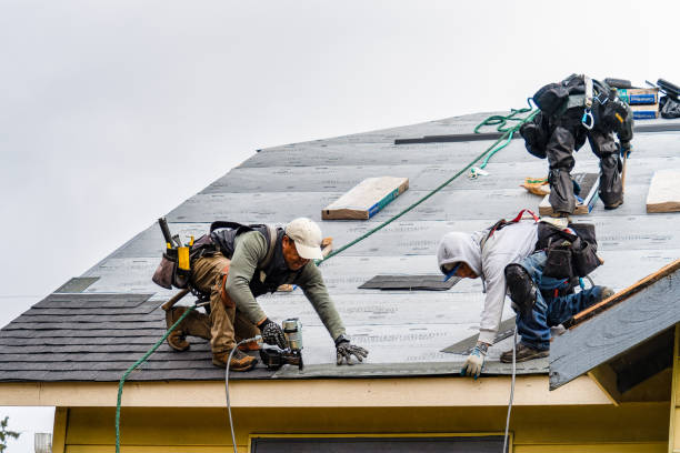 Professional Gutter Installation technician working in Lindale, TX